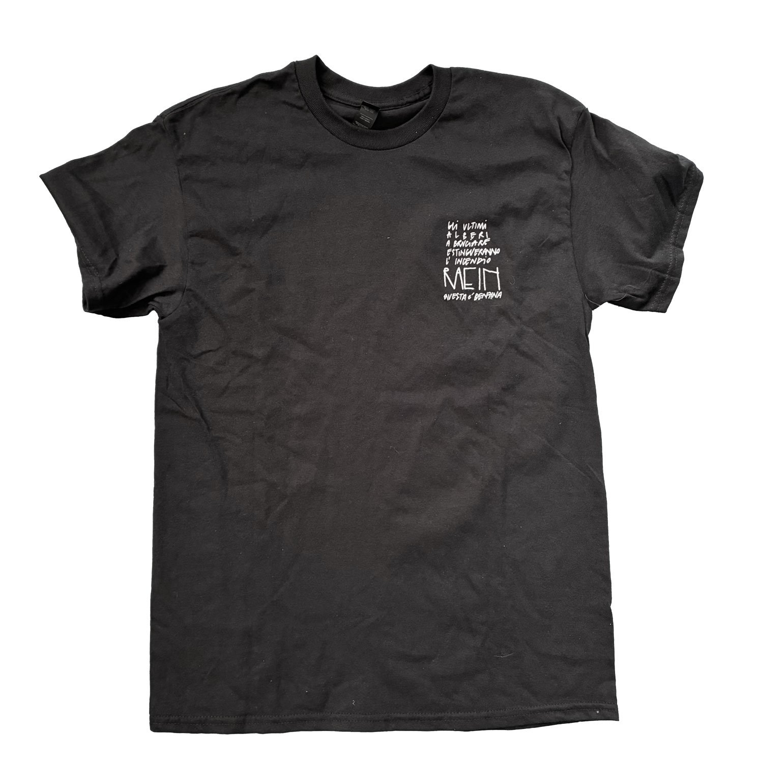 raein questa &egrave; benzina tshirt